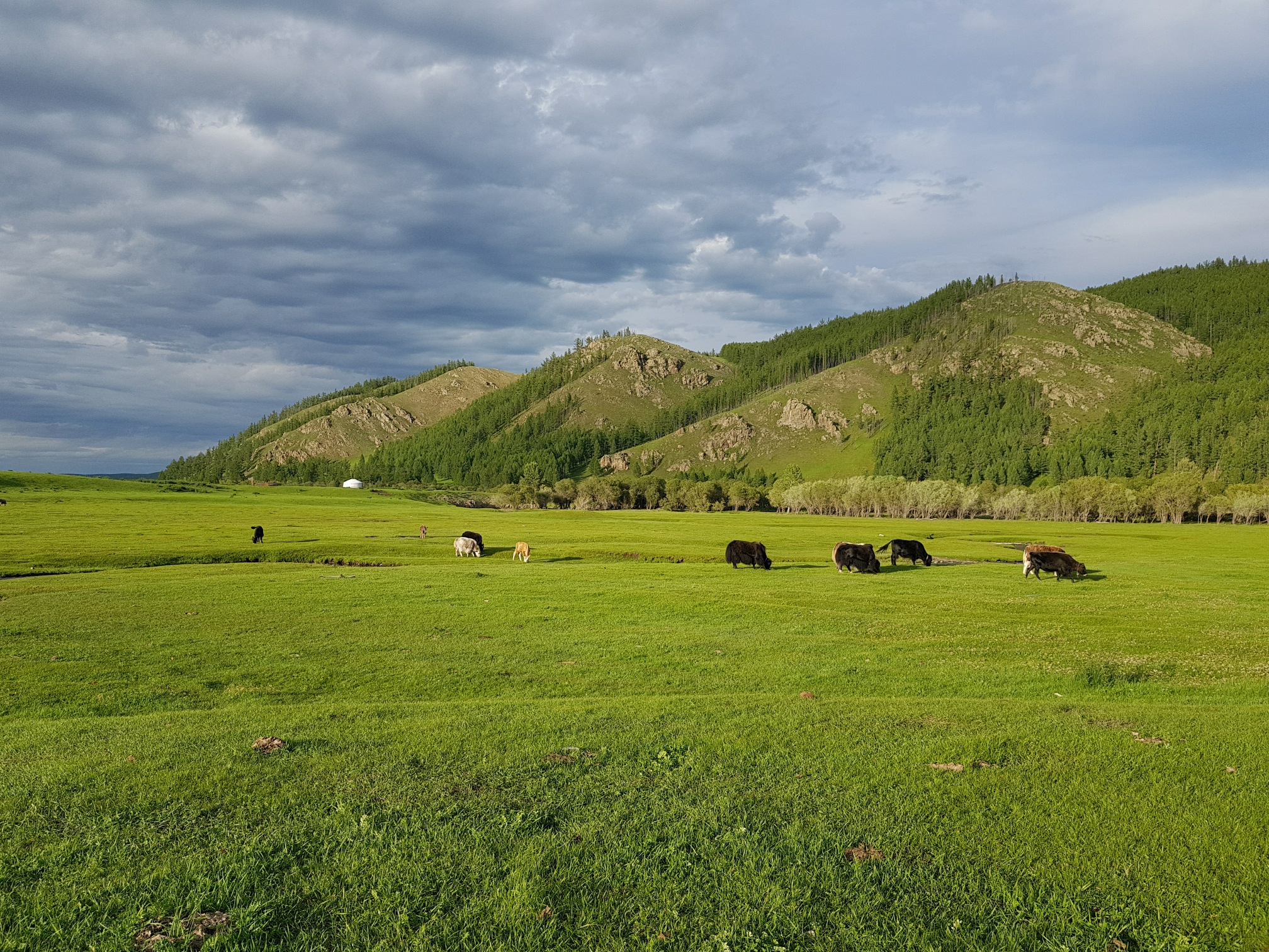 Mongolia