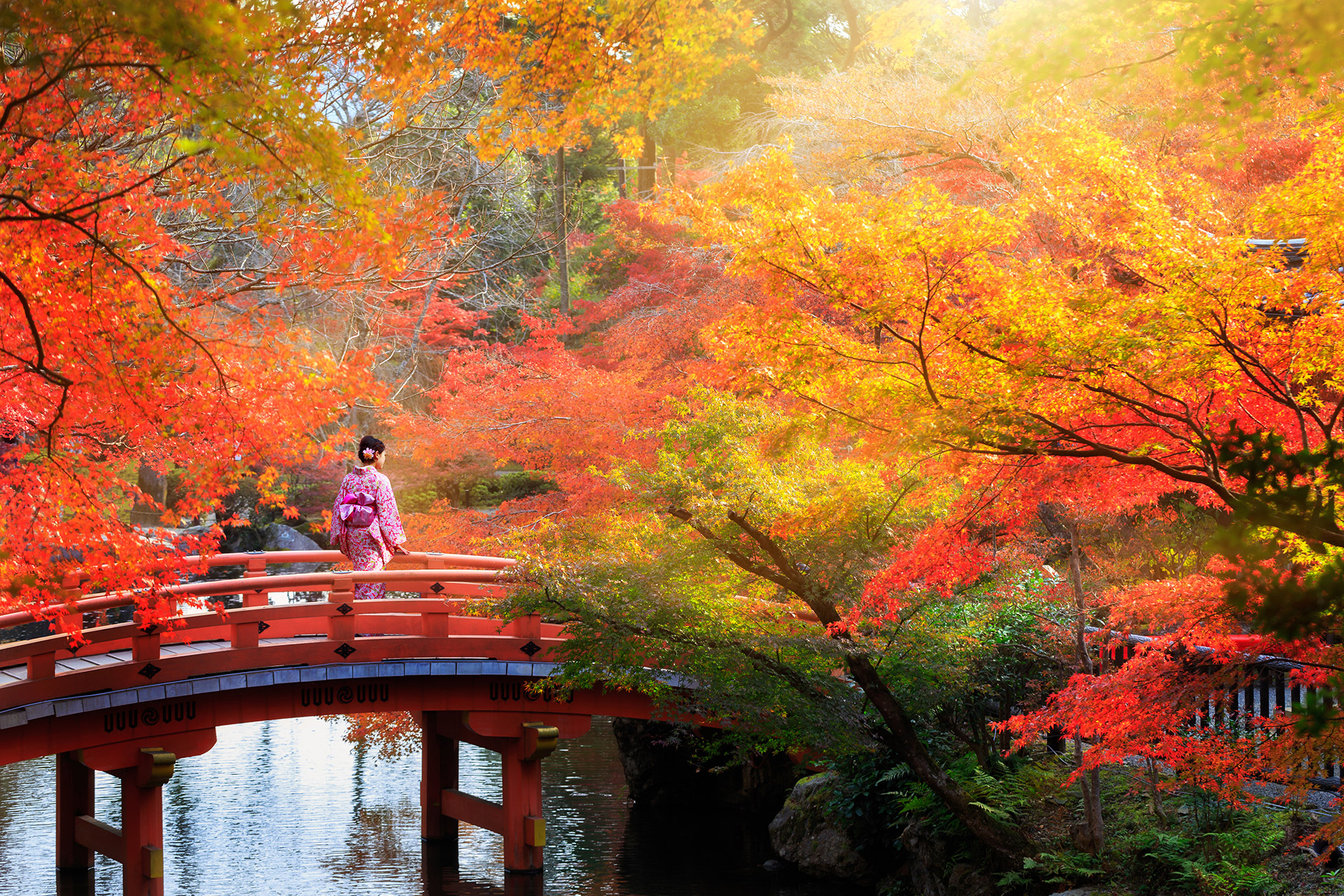Japan1